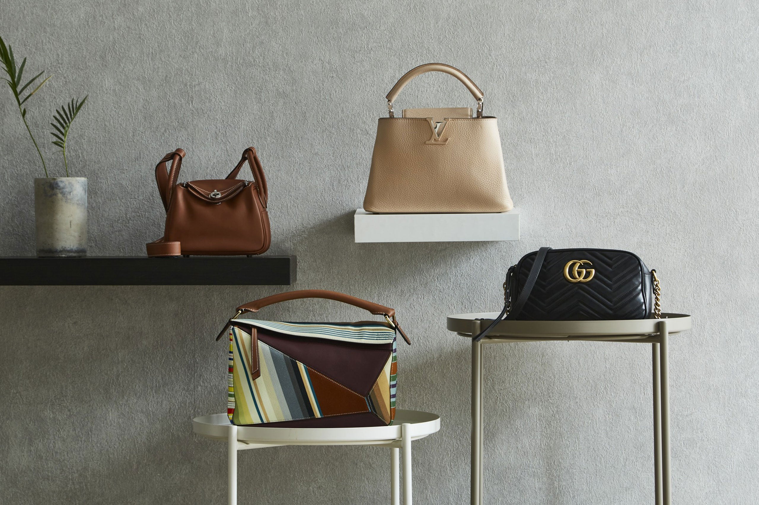 Official Online Shop Renewed !