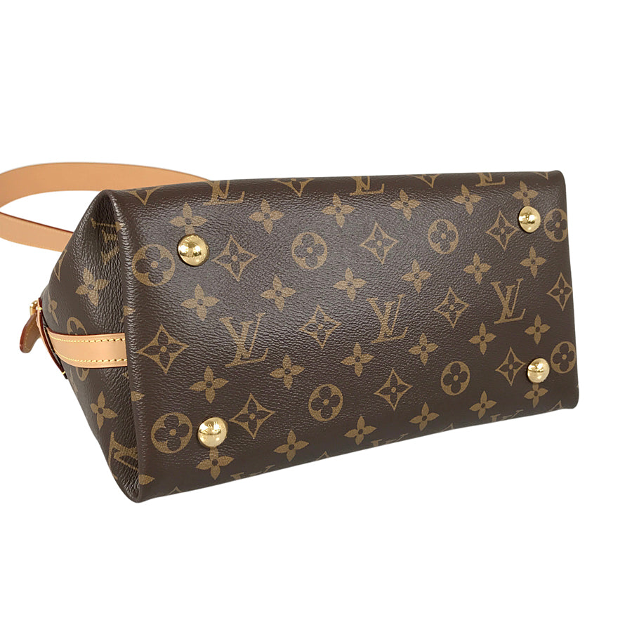 LOUIS VUITTON Monogram Carryall NM PM M46203 Shoulder bag