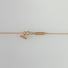 Load image into Gallery viewer, TIFFANY&amp;Co. Cleaned Necklace
